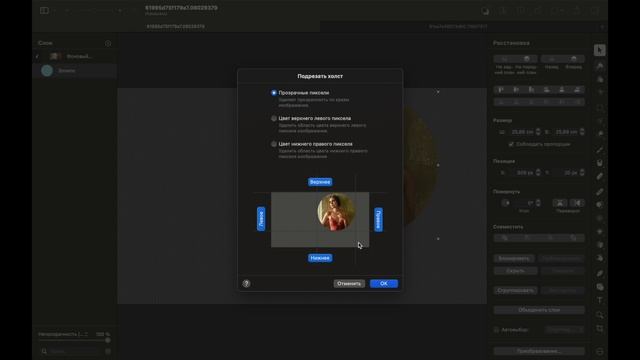 Как обрезать фото по кругу в Pixelmator Pro/MacOS Фото-фигура смотреть онлайн