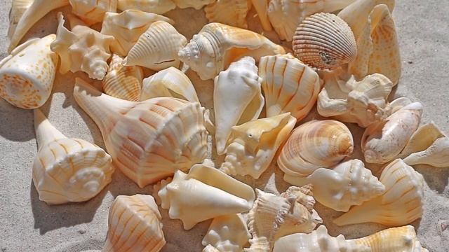 С годовщиной работы! Видео поздравление 1 смотреть онлайн