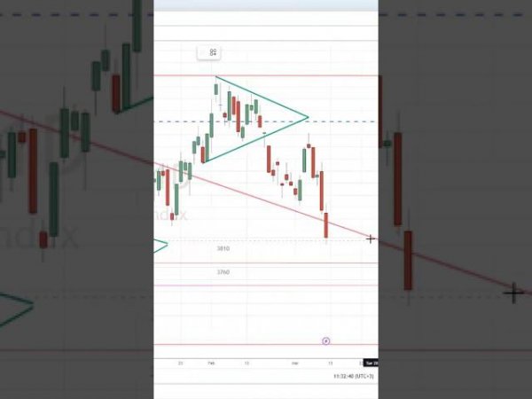 Фишки терминала TradingView forecast shorts #shorts