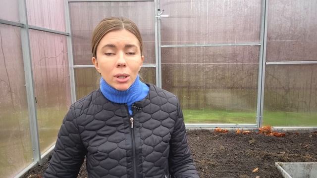 Продолжаю вносить это в грядки для повышения плодородия. ВАЖНАЯ ИНФОРМАЦИЯ для садоводов смотреть онлайн