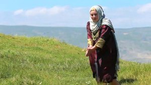 Акушинский