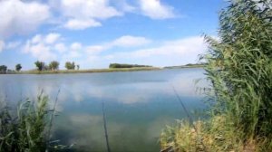 Как поймать зеркального карпа для начинающих Рыбалка на Кубани