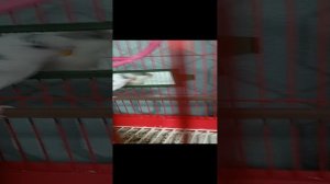 РУМ тур по дому