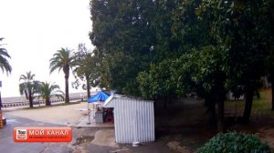 ? Абхазия. Гагры.? Мандарины по 25 рублей.Набережная в Гаграх. Отдых в Абхазии..Как в Крыму.