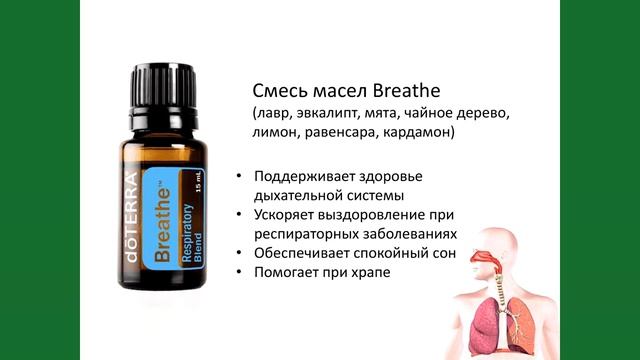 Екатерина Стоцкая. Чем эфирные масла отличаются от лекарств смотреть онлайн