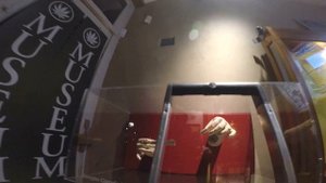 Амстердам Улица Красных Фонарей Отзывы Цены