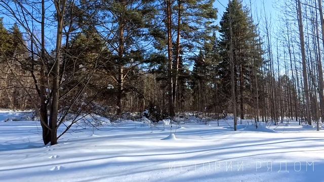 «Кто ты и кто я» муж высмеивал уволенную жену. А когда Тамара получила наследство... смотреть онлайн