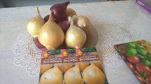 ЛУК ЭКСИБИШЕН.Как вырастить? Когда сеять на рассаду ?