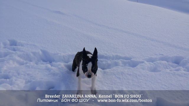 Туса с мячиком ... смотреть онлайн