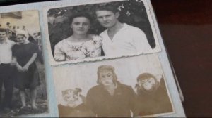 Власов Николай Иванович