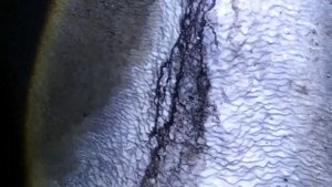 Река Кабак-шур. Подземелье Ижевска.