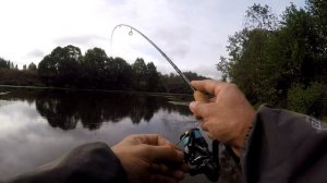 Добро пожаловать в Семью! Crazy Fish Arion 702ULS