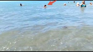 Морские испытания Geneinno S2 Orange