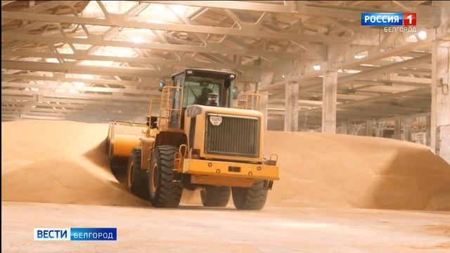 Как феромонные ловушки помогают бороться с насекомыми-вредителям