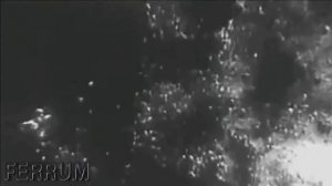 Дикая дивизия