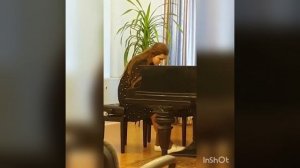 Анна Шмидт  Р.Шуман  Скерцино