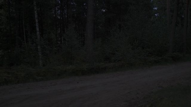 Thermal for 300$! Is it working? Raytheon thermal monocular!