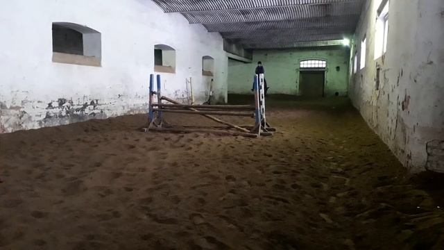 Тренировка на  жеребце Кватро.ХШН