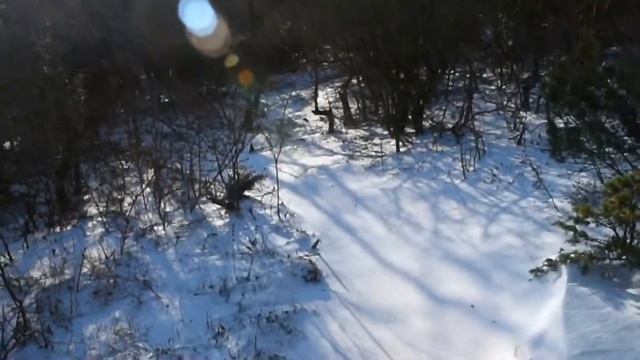 Зимой на Сокол! Нам и снег не помеха! смотреть онлайн