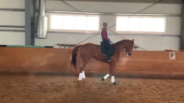 ВЫДВИЖЕНИЕ И СОКРАЩЕНИЕ ЛОШАДИ НА ГАЛОПЕ смотреть онлайн