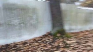 Вывоз и уборка осенних листьев с участка с помощью волшебного полотна !