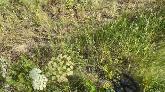 МНОГО МЕТАЛЛА, НАШЕЛ НЕКОПАНЫЙ ОВРАГ. смотреть онлайн