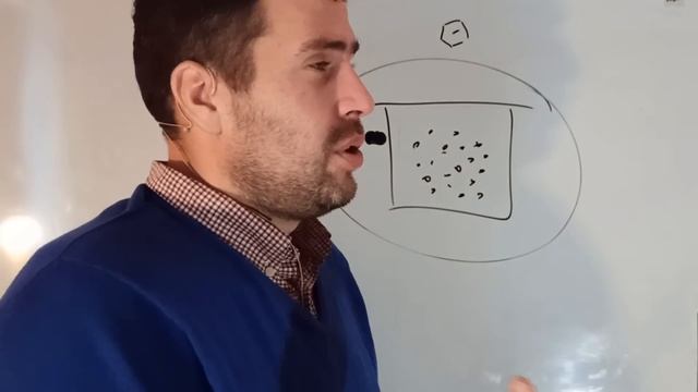 Тропилелапсоз пчел, как выглядит клещ тропик?