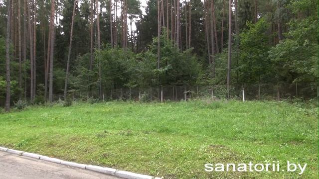 Оздоровительный комплекс БАТЭ - территория и природа, Отдых в Беларуси смотреть онлайн