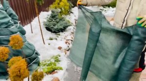 Притеночная сетка , для укрытия хвойных растений, от весенних ожогов) https://t.me/S76Olga_76