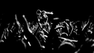 Julian Casablancas spot Decibel Azzaro HD long version