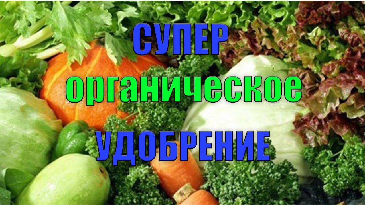 Лучшая эко подкормка для растений // Био удобрение для томатов //