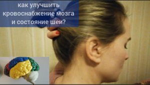 Как укрепить мышцы шеи и сосуды мозга? Помогут 3 уникальных упражнения для артерий шеи и  головы
