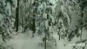 Перевал Дятлова. Травмы Людмилы Дубининой.+ мнение судмедэксперта Э. Туманова. @