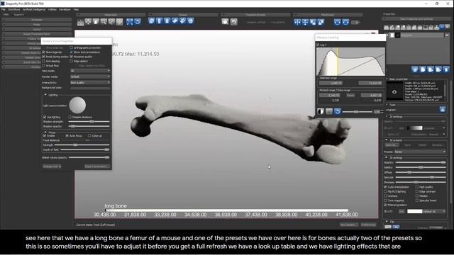 Dragonfly Daily 33 3D Rendering with Dragonfly (2020) смотреть онлайн