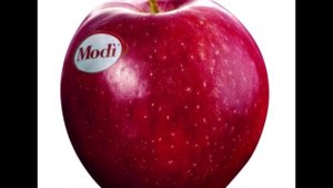 Новые сорта яблонь в коллекции «Осень – 2021»