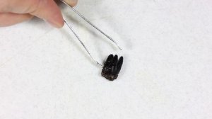 ЧТО БУДЕТ, ЕСЛИ ПОЛОЖИТЬ ЗУБ в КОКА - КОЛУ на 3 года???