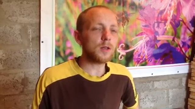 Полезные свойства Иван-чая - ООО"Русский Дух"