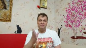 Медведев За Все Ответишь Перед Родиной! Кому Служит Правительство РФ? Часть 4