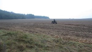 квадрацикл STELS 150