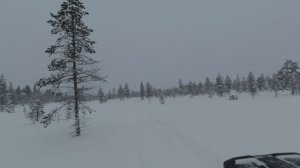 Ski Doo Expedition ACE 900 Turbo луплю в паудэр. ( powder snow )