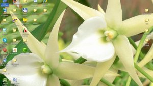 Увеличение памяти в XP