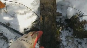 Лесной поиск | Коп металла вдоль дороги и поля | Весенний металлокоп