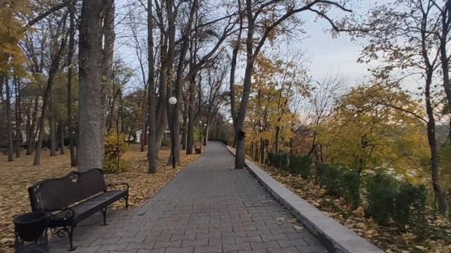 31.10.2023 Золотая осень ? В паркеГомель?#гомель ##shortsvideo #беларусь #золотаяосень #золотая