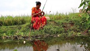 New fishing video ?? || Beautiful village lady is fishing with a hook in a rice field canal