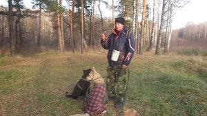 Шарлатаны в дрессировке, имитация укуса вожака стаи