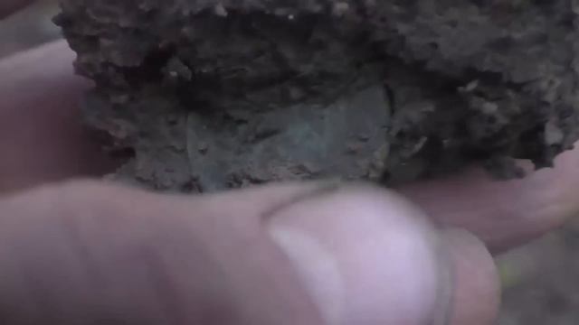 Заброшенная деревня в лесу! Шурф фундамента 2023!  Коп с металлоискателем, нашли Царское серебро!