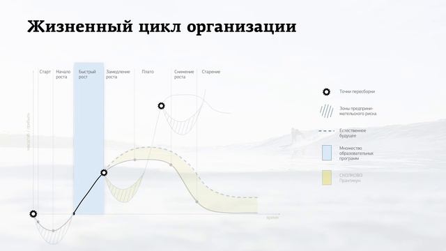 СКОЛКОВО Практикум. Жизненный цикл организаций