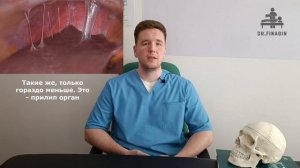 Растяжка, стретчинг, МФР, зачем все ЭТО организму!? | Доктор Финагин