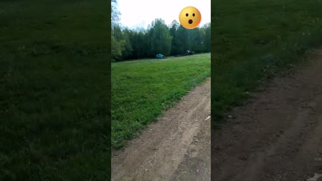 Гусеницы непарного шелкопряда сжирают леса Башкирии, яблони и посадки. Ужас. смотреть онлайн