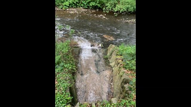 Source Supplies visit the Northwood Paper Mill to learn how recycled toilet paper is produced смотреть онлайн